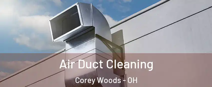 Air Duct Cleaning Corey Woods - OH