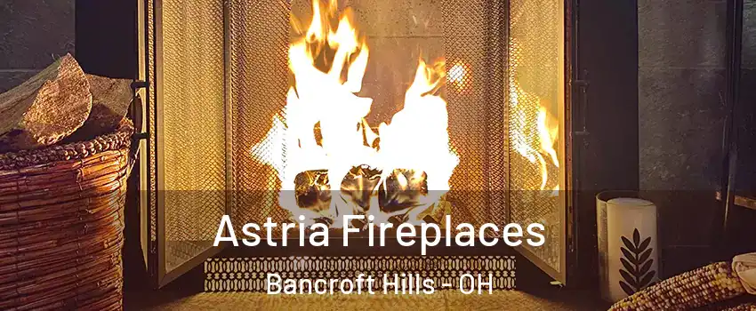 Astria Fireplaces Bancroft Hills - OH