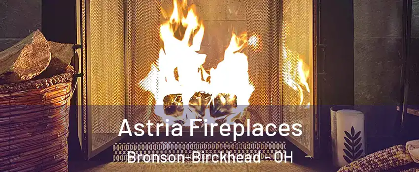 Astria Fireplaces Bronson-Birckhead - OH