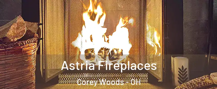 Astria Fireplaces Corey Woods - OH
