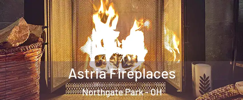Astria Fireplaces Northgate Park - OH