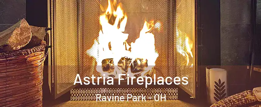 Astria Fireplaces Ravine Park - OH
