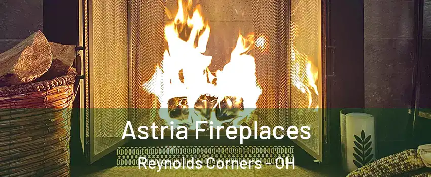 Astria Fireplaces Reynolds Corners - OH
