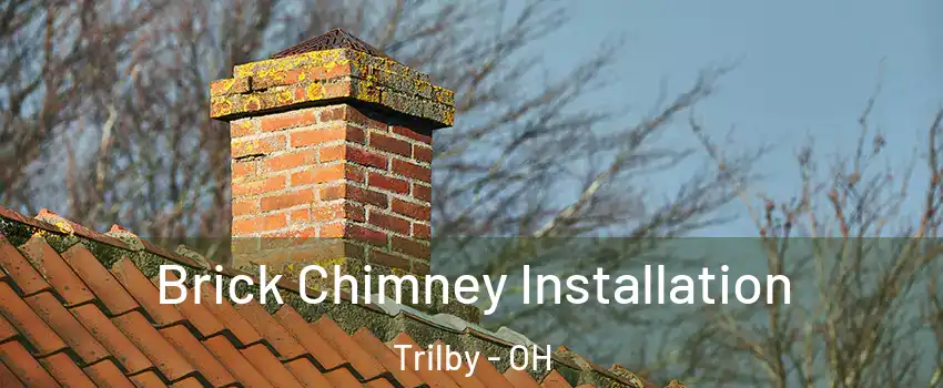 Brick Chimney Installation Trilby - OH