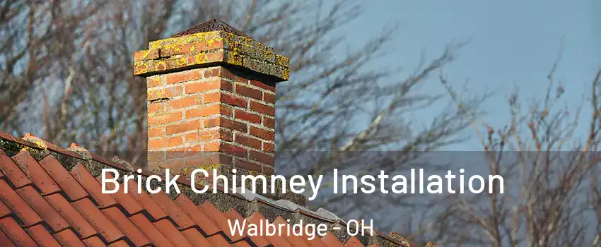 Brick Chimney Installation Walbridge - OH