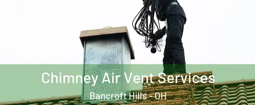 Chimney Air Vent Services Bancroft Hills - OH