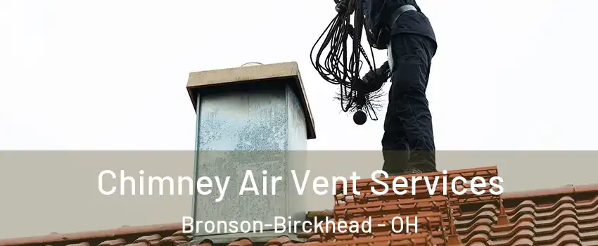 Chimney Air Vent Services Bronson-Birckhead - OH