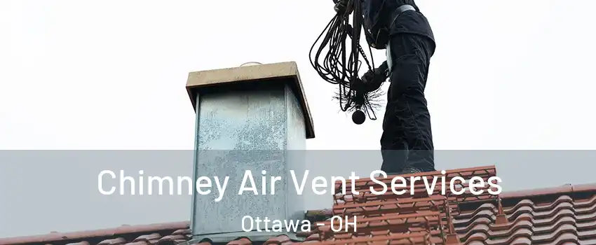 Chimney Air Vent Services Ottawa - OH