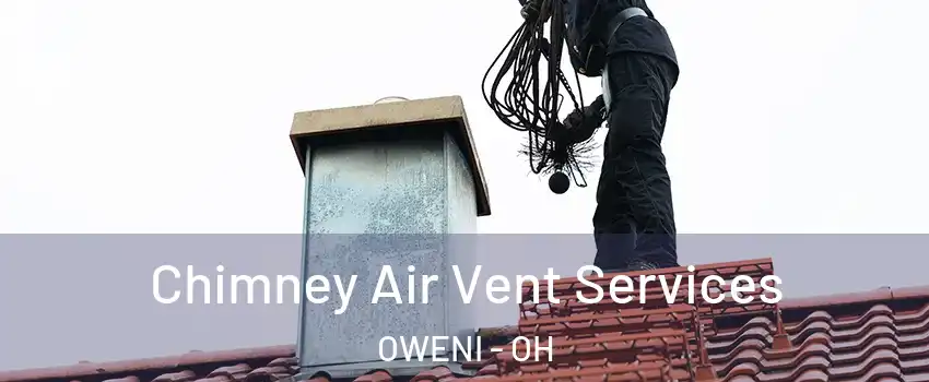 Chimney Air Vent Services OWENI - OH