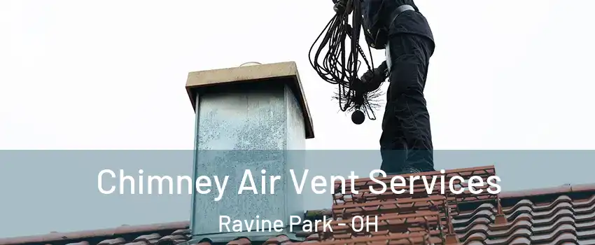 Chimney Air Vent Services Ravine Park - OH