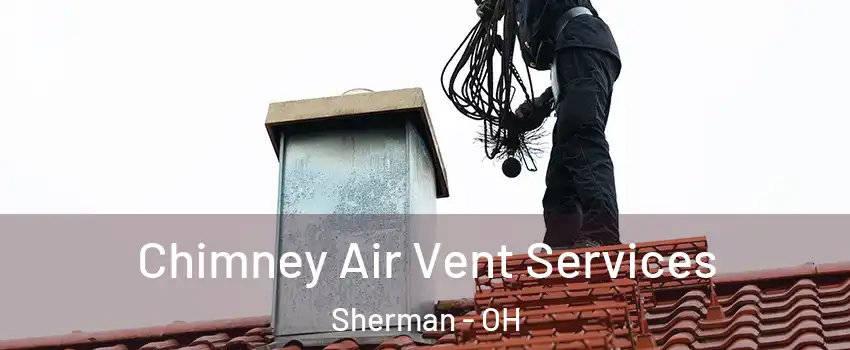 Chimney Air Vent Services Sherman - OH