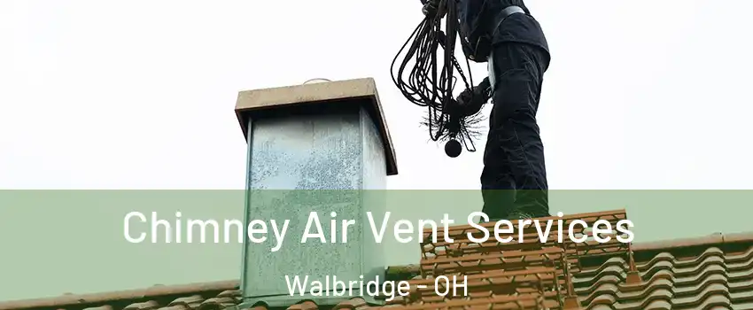 Chimney Air Vent Services Walbridge - OH