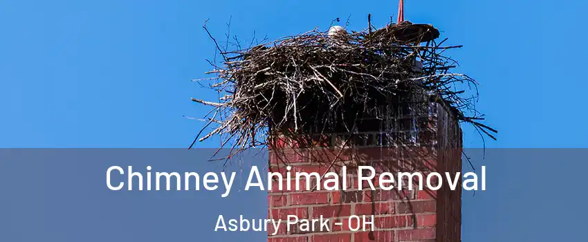 Chimney Animal Removal Asbury Park - OH