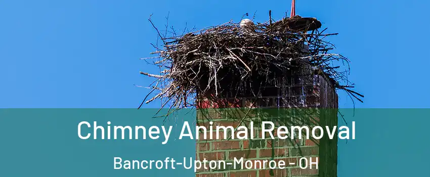 Chimney Animal Removal Bancroft-Upton-Monroe - OH