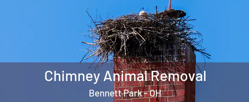 Chimney Animal Removal Bennett Park - OH