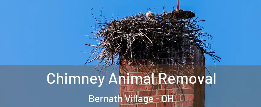 Chimney Animal Removal Bernath Village - OH