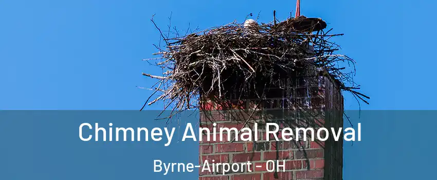 Chimney Animal Removal Byrne-Airport - OH