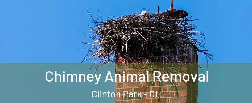 Chimney Animal Removal Clinton Park - OH
