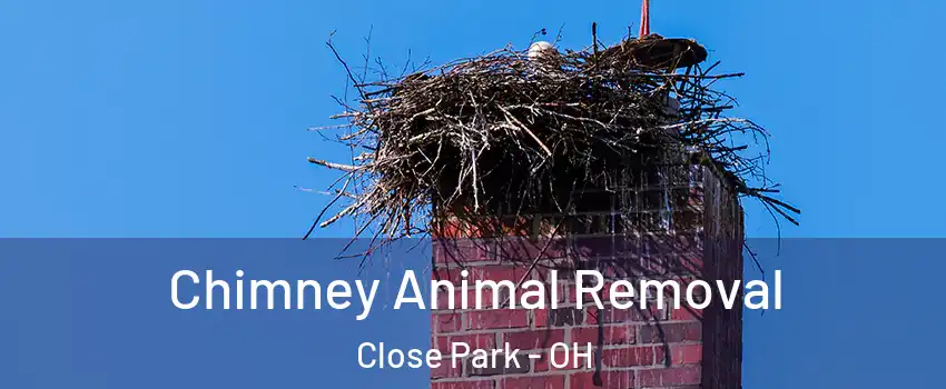Chimney Animal Removal Close Park - OH