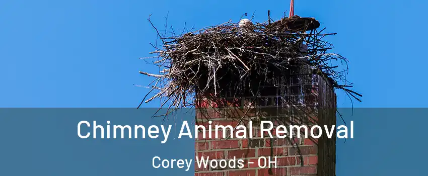 Chimney Animal Removal Corey Woods - OH
