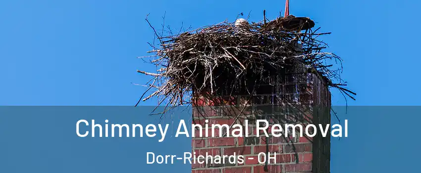 Chimney Animal Removal Dorr-Richards - OH