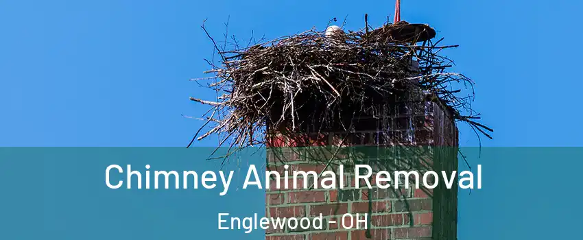 Chimney Animal Removal Englewood - OH