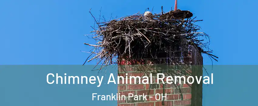 Chimney Animal Removal Franklin Park - OH