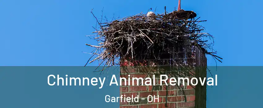 Chimney Animal Removal Garfield - OH