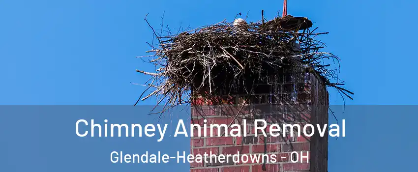 Chimney Animal Removal Glendale-Heatherdowns - OH