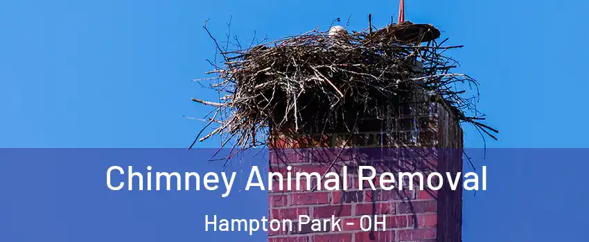 Chimney Animal Removal Hampton Park - OH