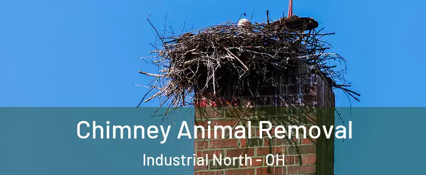 Chimney Animal Removal Industrial North - OH
