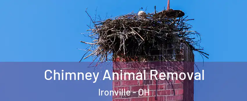 Chimney Animal Removal Ironville - OH