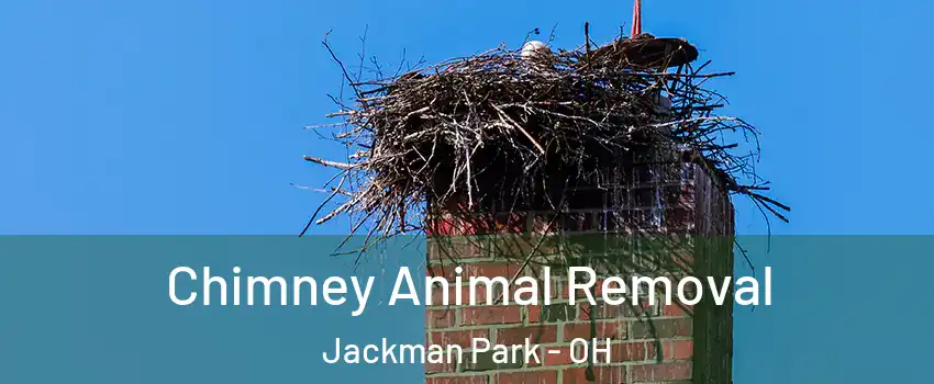 Chimney Animal Removal Jackman Park - OH