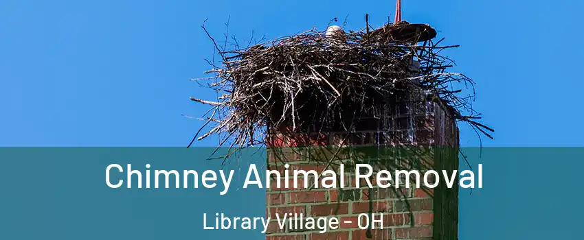Chimney Animal Removal Library Village - OH