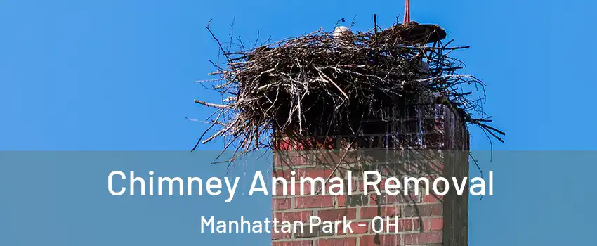 Chimney Animal Removal Manhattan Park - OH