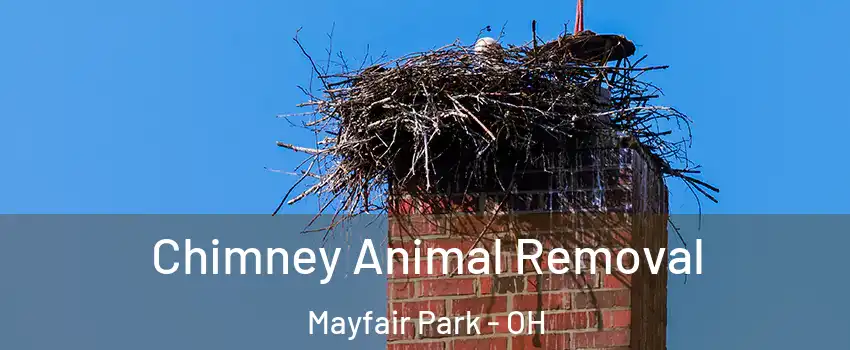 Chimney Animal Removal Mayfair Park - OH