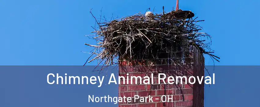 Chimney Animal Removal Northgate Park - OH