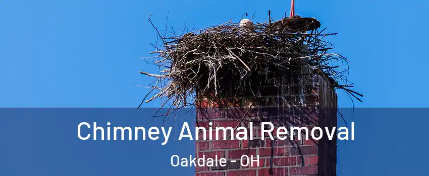 Chimney Animal Removal Oakdale - OH