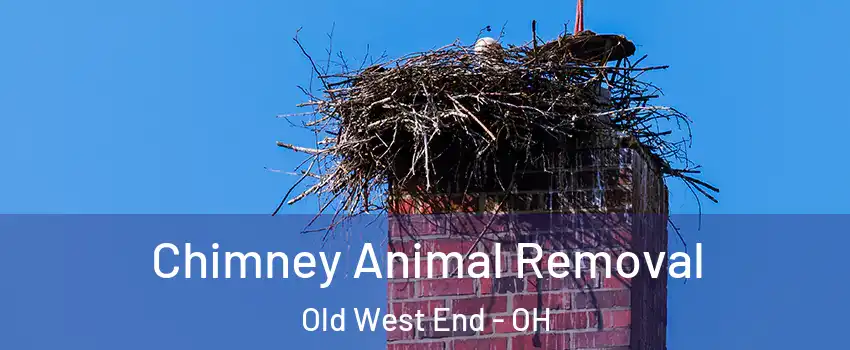 Chimney Animal Removal Old West End - OH
