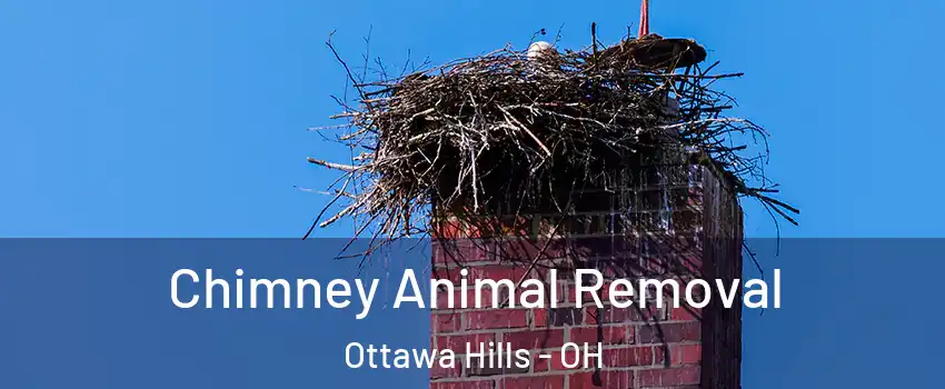 Chimney Animal Removal Ottawa Hills - OH