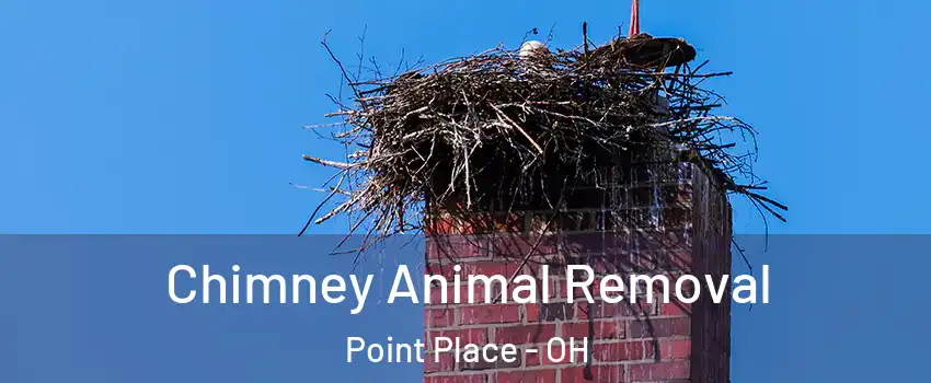 Chimney Animal Removal Point Place - OH