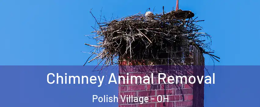 Chimney Animal Removal Polish Village - OH
