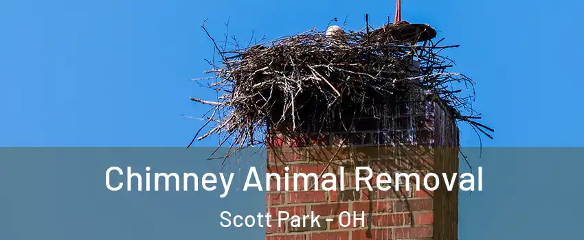 Chimney Animal Removal Scott Park - OH