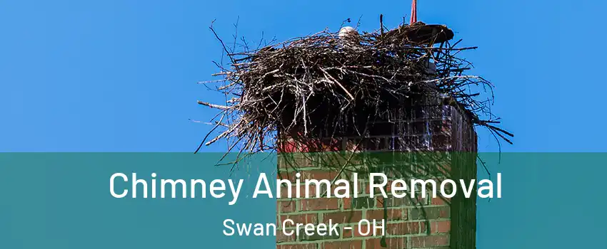 Chimney Animal Removal Swan Creek - OH