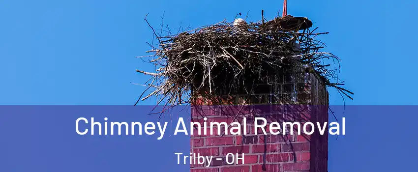 Chimney Animal Removal Trilby - OH