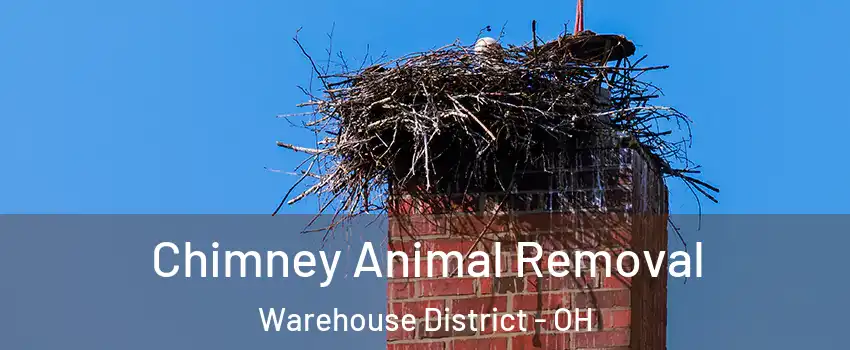 Chimney Animal Removal Warehouse District - OH