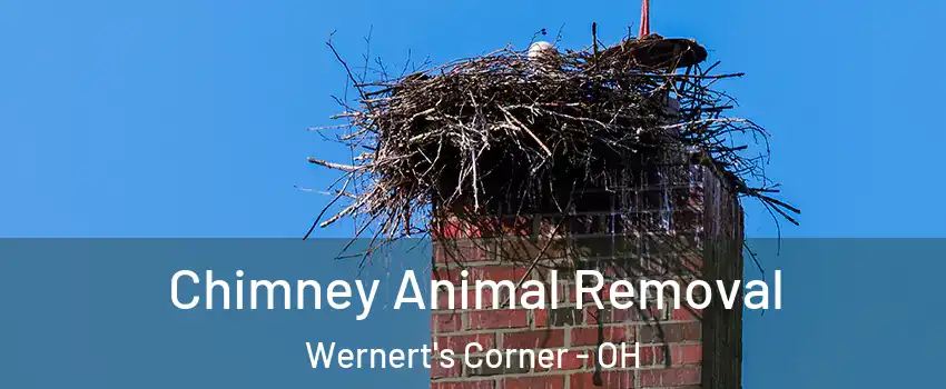 Chimney Animal Removal Wernert's Corner - OH