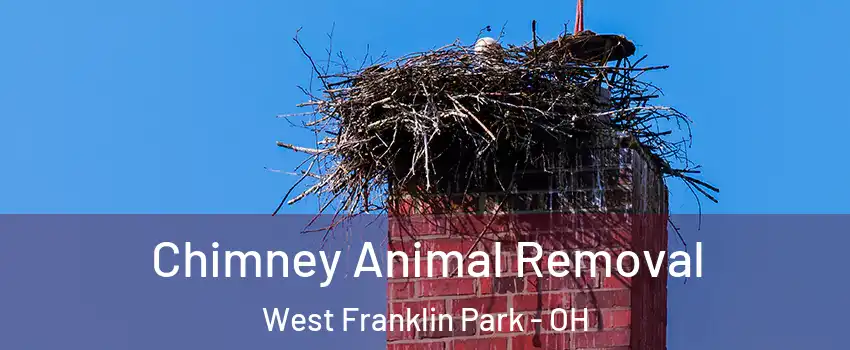 Chimney Animal Removal West Franklin Park - OH