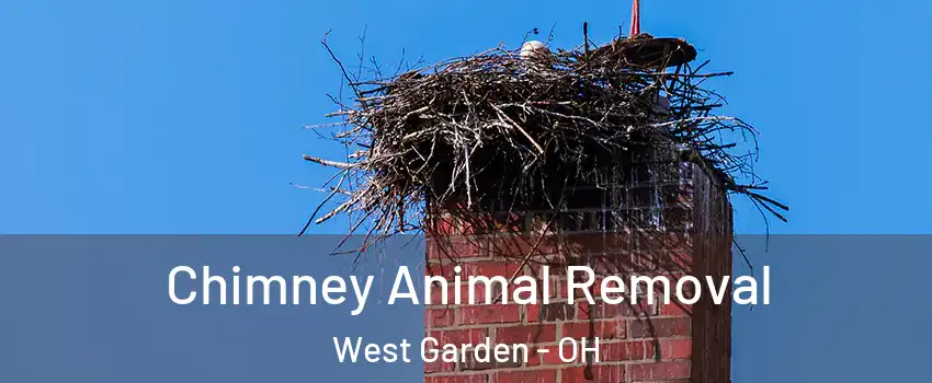 Chimney Animal Removal West Garden - OH