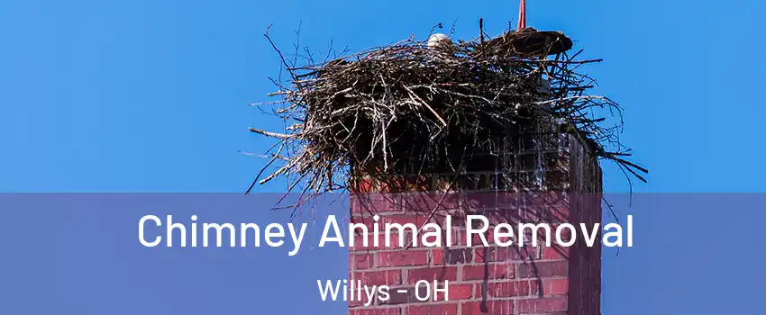 Chimney Animal Removal Willys - OH
